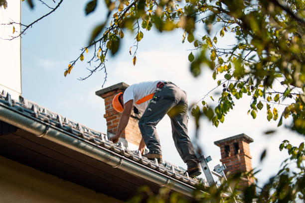 Roof Gutter Cleaning in Taylorsville, MS