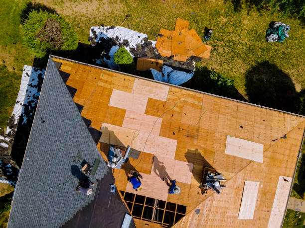 Quick and Trustworthy Emergency Roof Repair Services in Taylorsville, MS